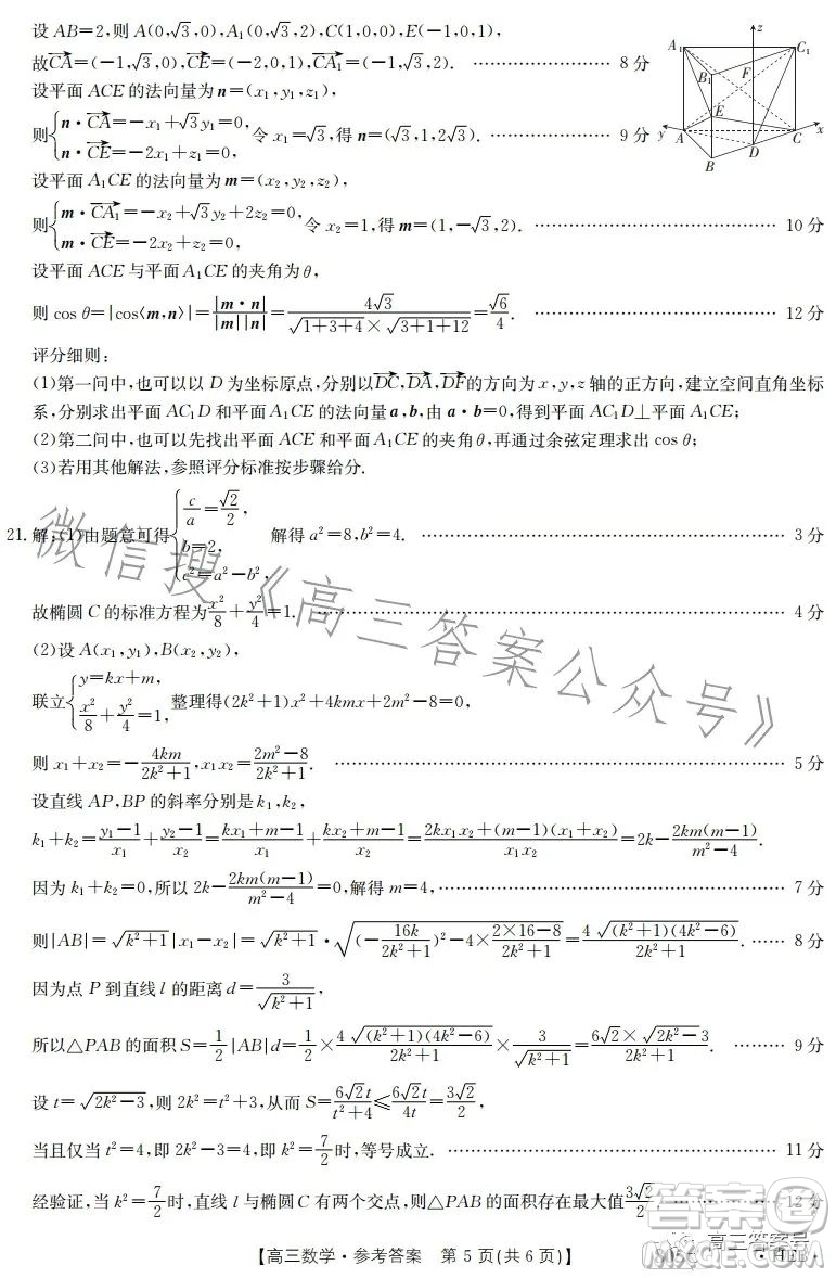 2023金太陽(yáng)高三1月聯(lián)考805C數(shù)學(xué)試卷答案