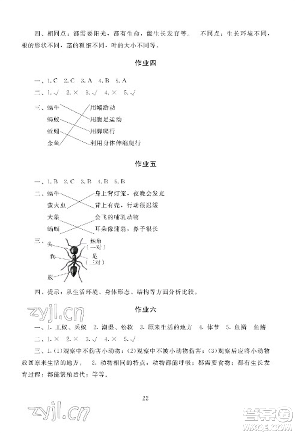 湖南少年兒童出版社2023寒假生活三年級(jí)合訂本通用版參考答案