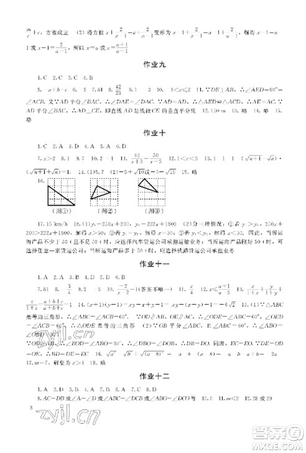 湖南少年兒童出版社2023寒假生活八年級主科合訂本通用版參考答案