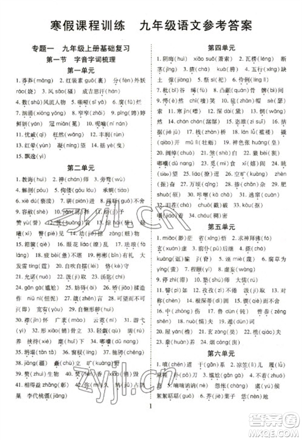 天津教育出版社2023寒假課程練習(xí)九年級(jí)語(yǔ)文人教版參考答案