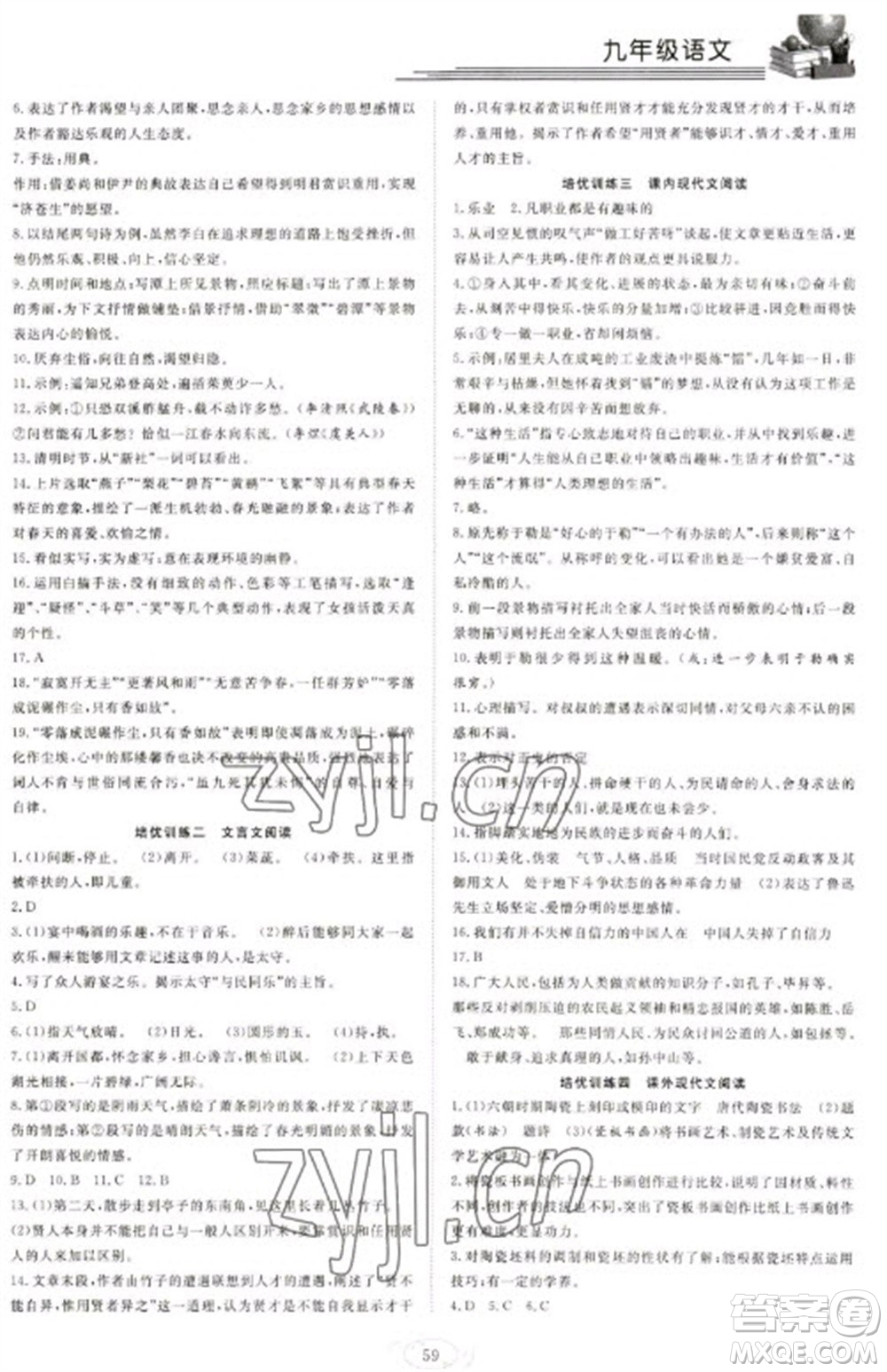 合肥工業(yè)大學出版社2023假期伴你行寒假復習計劃九年級語文通用版參考答案