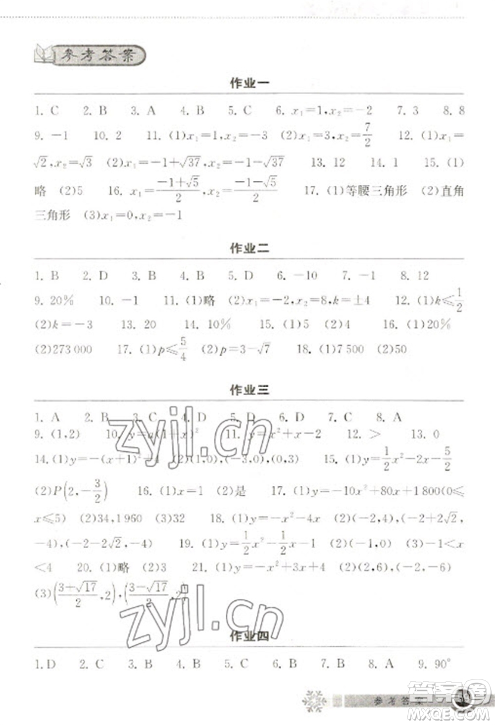 湖北教育出版社2023長江作業(yè)本寒假作業(yè)九年級數(shù)學(xué)人教版參考答案