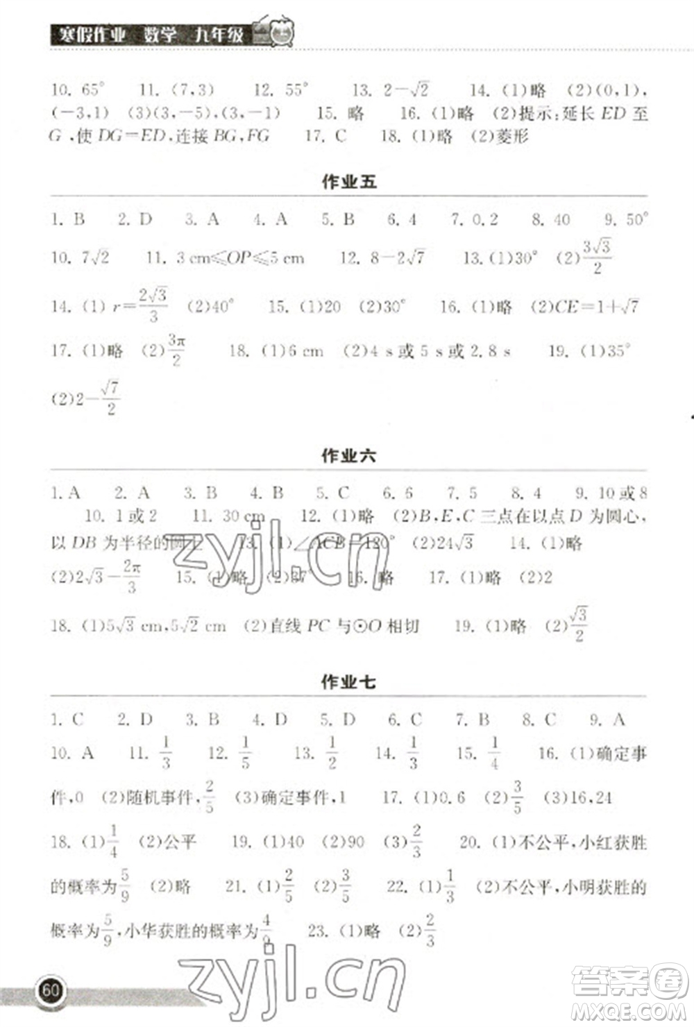 湖北教育出版社2023長江作業(yè)本寒假作業(yè)九年級數(shù)學(xué)人教版參考答案