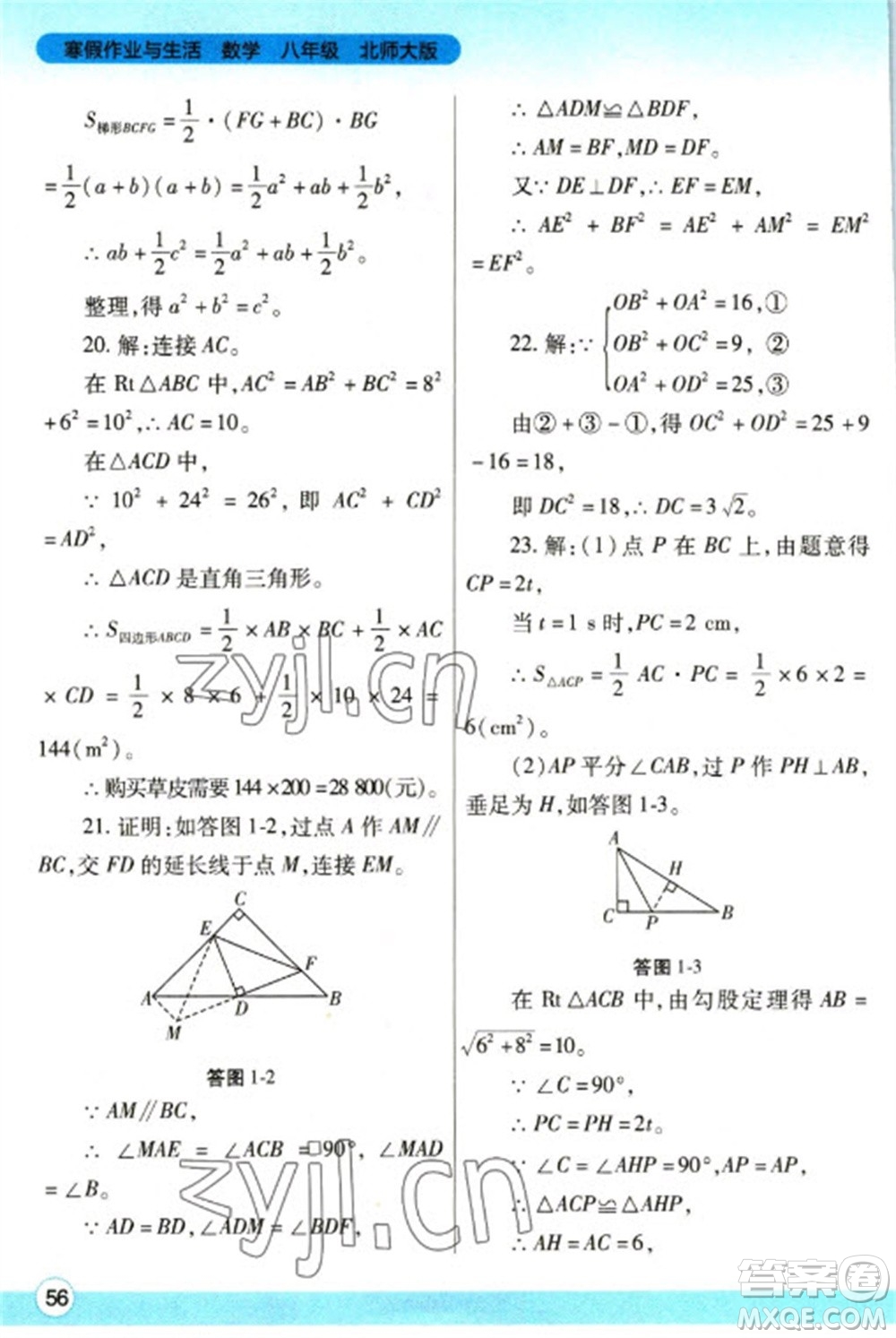 陜西師范大學(xué)出版總社2023寒假作業(yè)與生活八年級數(shù)學(xué)北師大版參考答案