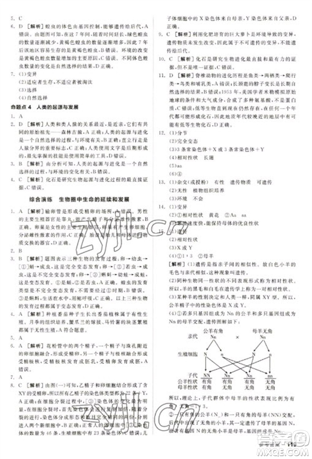 延邊教育出版社2023全品新中考穩(wěn)拿基礎(chǔ)分九年級生物通用版參考答案