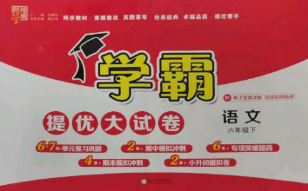 寧夏人民教育出版社2023學(xué)霸提優(yōu)大試卷六年級(jí)下冊(cè)語(yǔ)文人教版參考答案