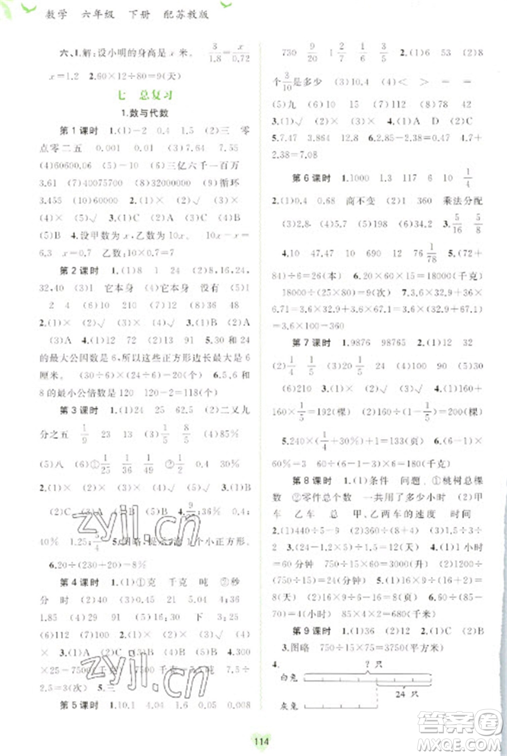 廣西教育出版社2023新課程學(xué)習(xí)與測評同步學(xué)習(xí)六年級下冊數(shù)學(xué)蘇教版參考答案