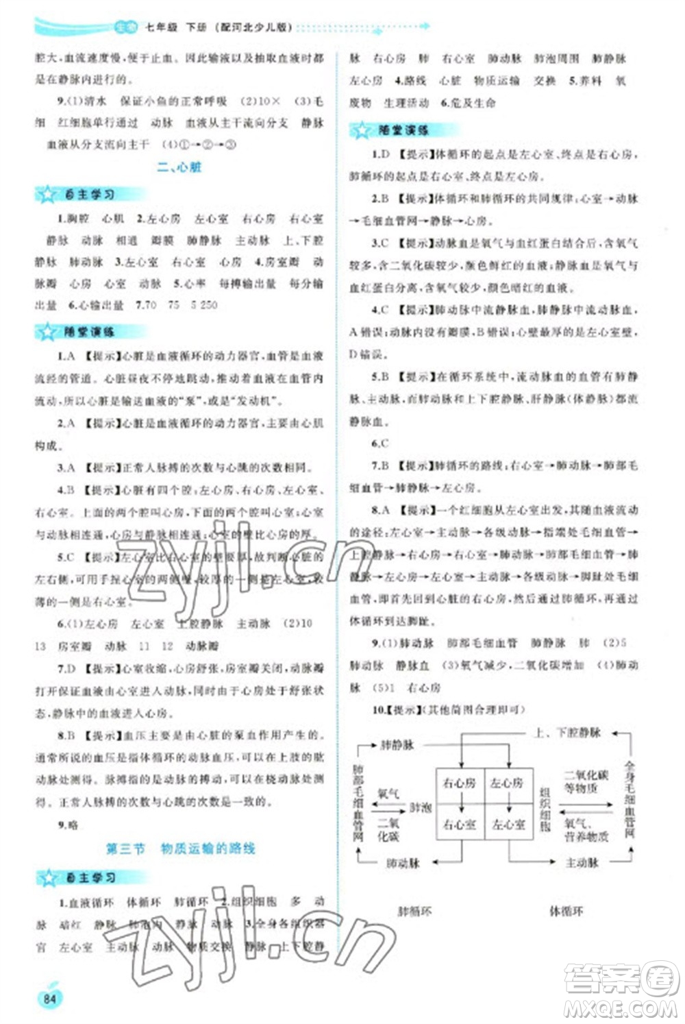 廣西教育出版社2023新課程學習與測評同步學習七年級下冊生物冀少版參考答案