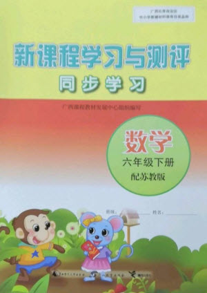 廣西教育出版社2023新課程學(xué)習(xí)與測評同步學(xué)習(xí)六年級下冊數(shù)學(xué)蘇教版參考答案