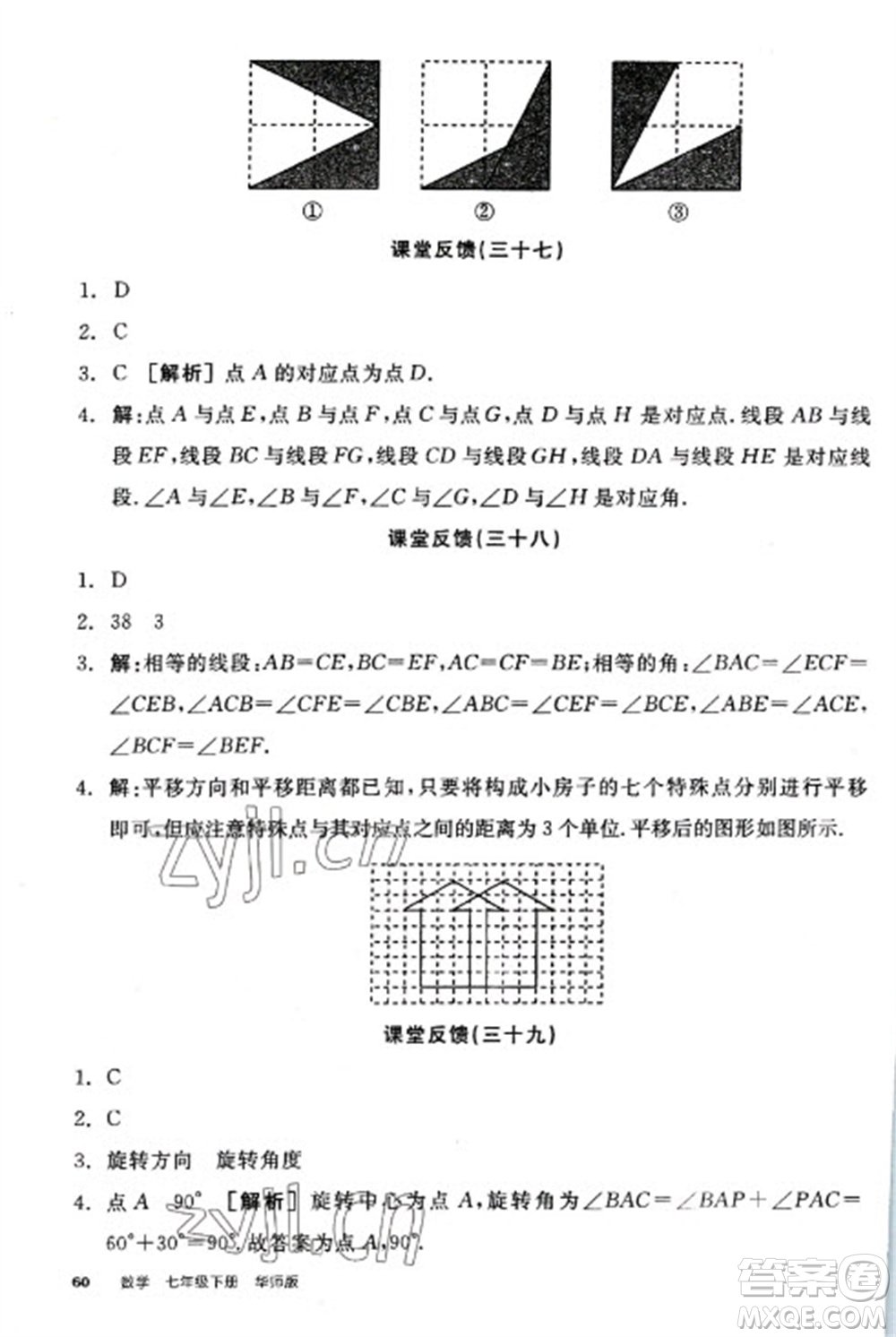 陽光出版社2023全品學(xué)練考七年級下冊數(shù)學(xué)華師版參考答案