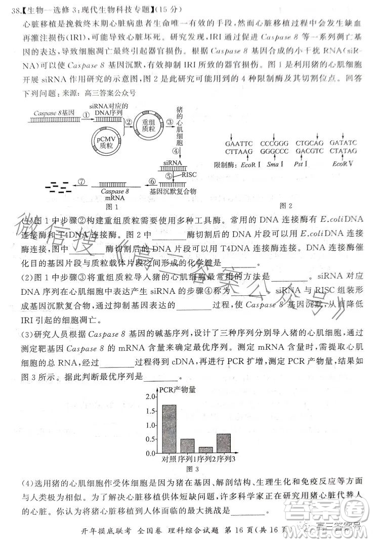 百師聯(lián)盟2023屆高三開年摸底聯(lián)考全國卷理科綜合試題答案