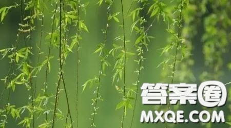 觀滿江紅有感600字 關于觀滿江紅的有感600字