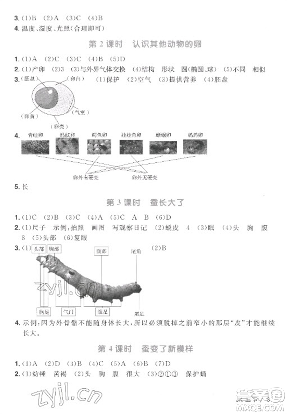 江西教育出版社2023陽光同學課時優(yōu)化作業(yè)三年級科學下冊教科版參考答案