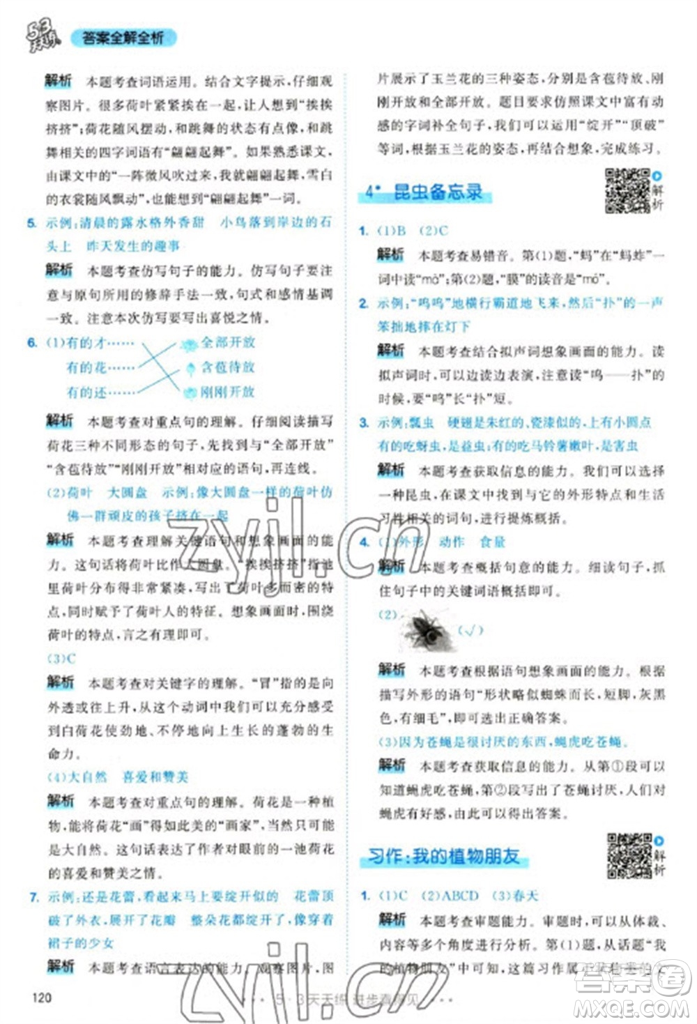 教育科學(xué)出版社2023春季53天天練三年級語文下冊人教版參考答案