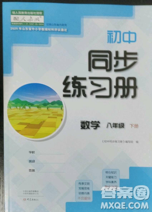 大象出版社2023初中同步練習(xí)冊(cè)八年級(jí)下冊(cè)數(shù)學(xué)人教版答案