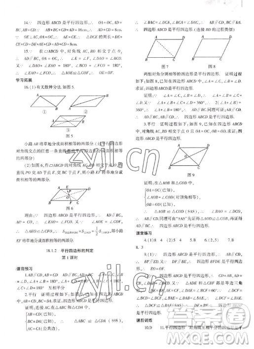 大象出版社2023初中同步練習(xí)冊(cè)八年級(jí)下冊(cè)數(shù)學(xué)人教版答案