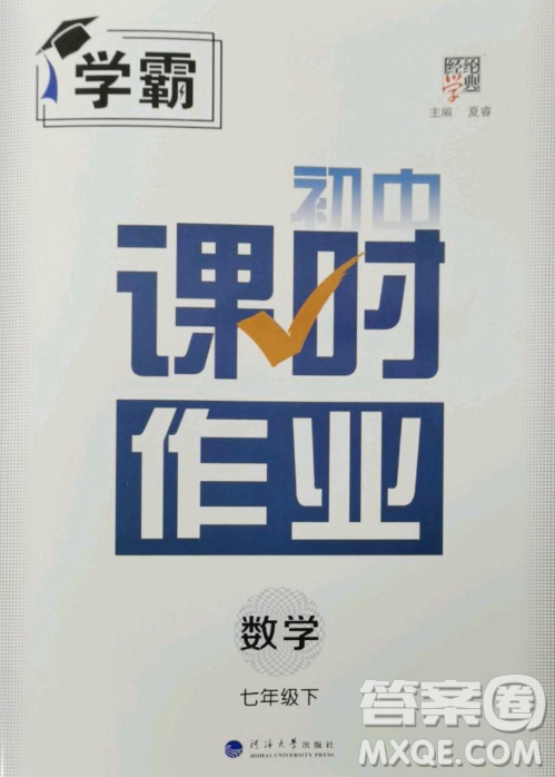 河海大學(xué)出版社2023經(jīng)綸學(xué)典課時作業(yè)七年級下冊數(shù)學(xué)人教版答案