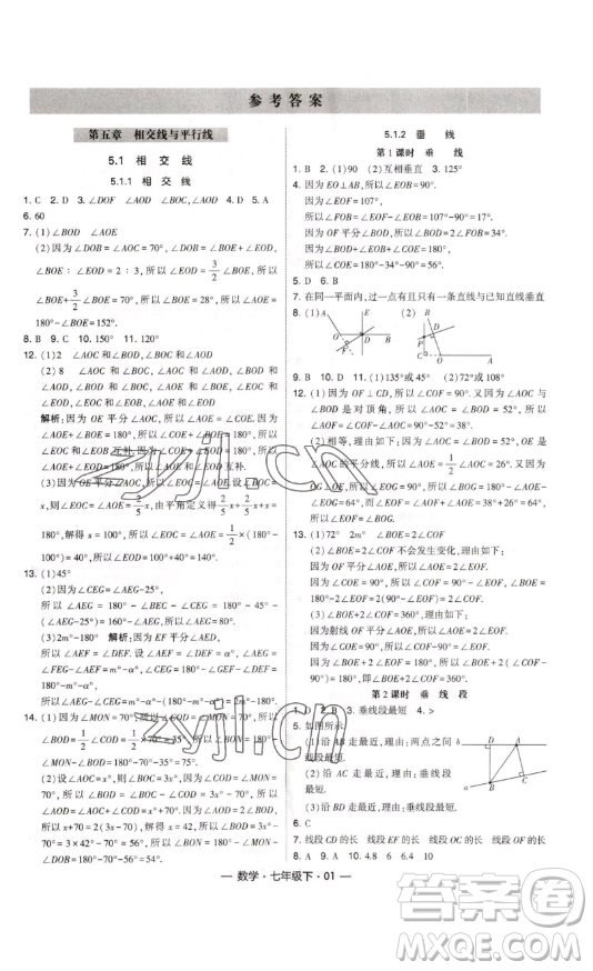 河海大學(xué)出版社2023經(jīng)綸學(xué)典課時作業(yè)七年級下冊數(shù)學(xué)人教版答案