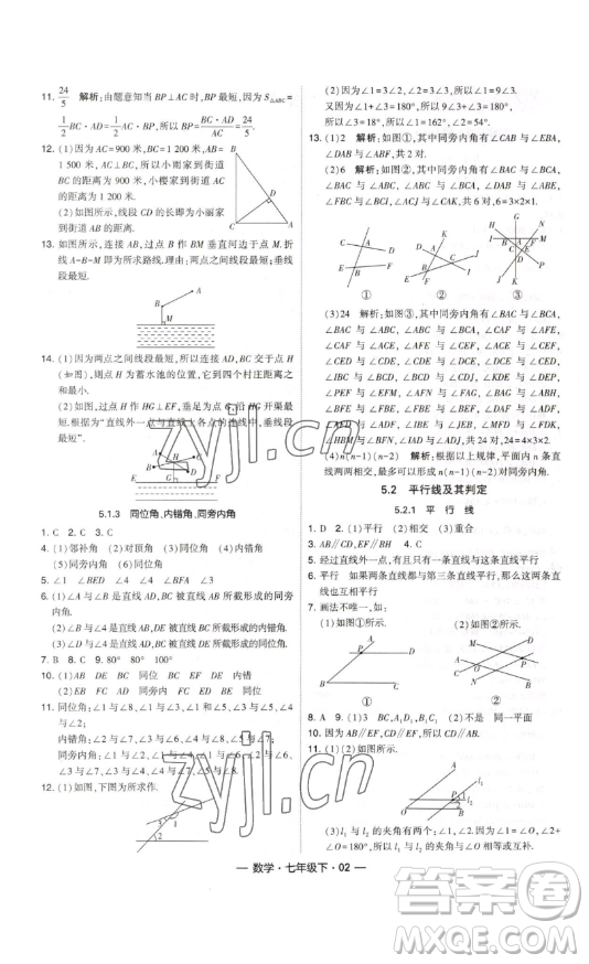 河海大學(xué)出版社2023經(jīng)綸學(xué)典課時作業(yè)七年級下冊數(shù)學(xué)人教版答案