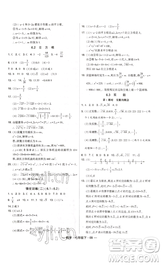 河海大學(xué)出版社2023經(jīng)綸學(xué)典課時作業(yè)七年級下冊數(shù)學(xué)人教版答案