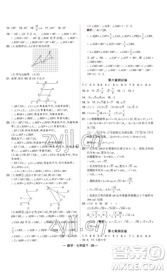 河海大學(xué)出版社2023經(jīng)綸學(xué)典課時作業(yè)七年級下冊數(shù)學(xué)人教版答案