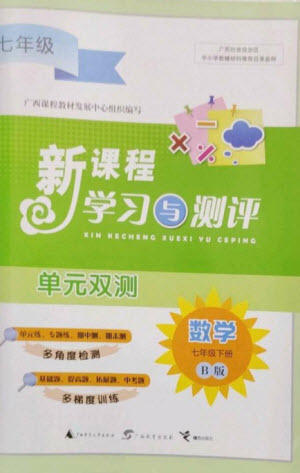 廣西師范大學(xué)出版社2023新課程學(xué)習(xí)與測評單元雙測七年級數(shù)學(xué)下冊湘教版參考答案