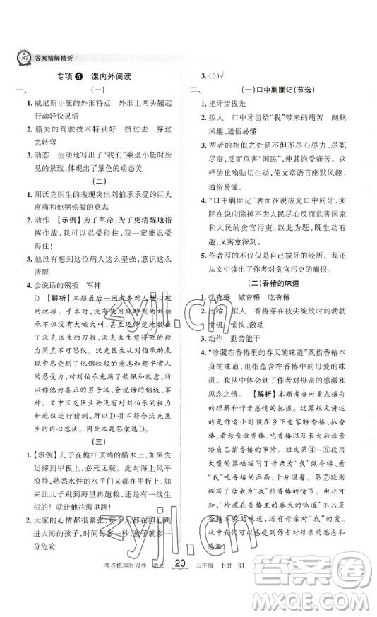 江西人民出版社2023王朝霞考點(diǎn)梳理時(shí)習(xí)卷五年級(jí)下冊語文人教版答案