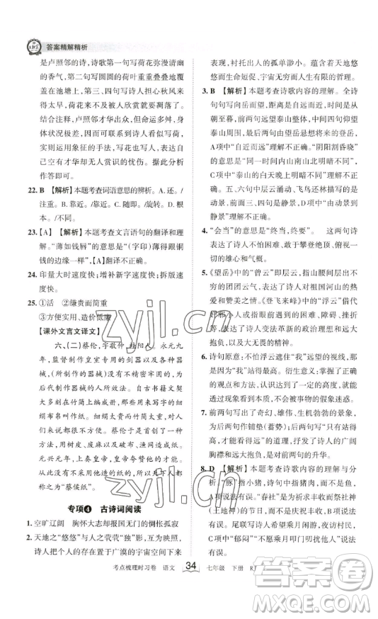 江西人民出版社2023王朝霞考點(diǎn)梳理時(shí)習(xí)卷七年級下冊語文人教版答案