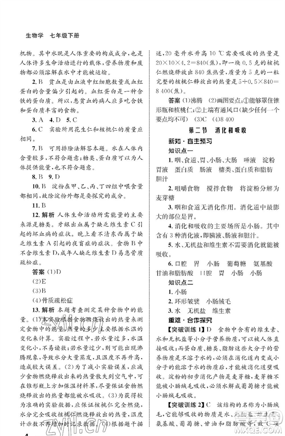 甘肅教育出版社2023生物學(xué)配套綜合練習(xí)七年級下冊人教版參考答案