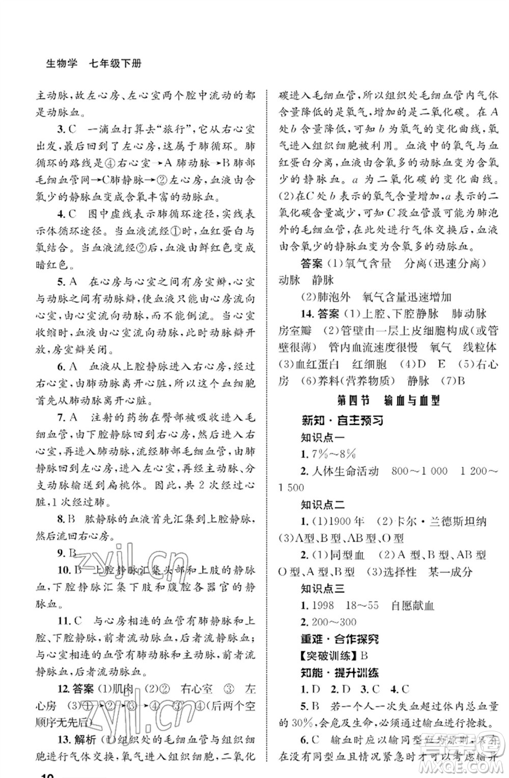 甘肅教育出版社2023生物學(xué)配套綜合練習(xí)七年級下冊人教版參考答案