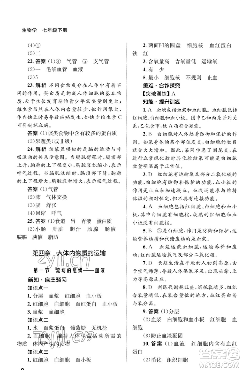 甘肅教育出版社2023生物學(xué)配套綜合練習(xí)七年級下冊人教版參考答案