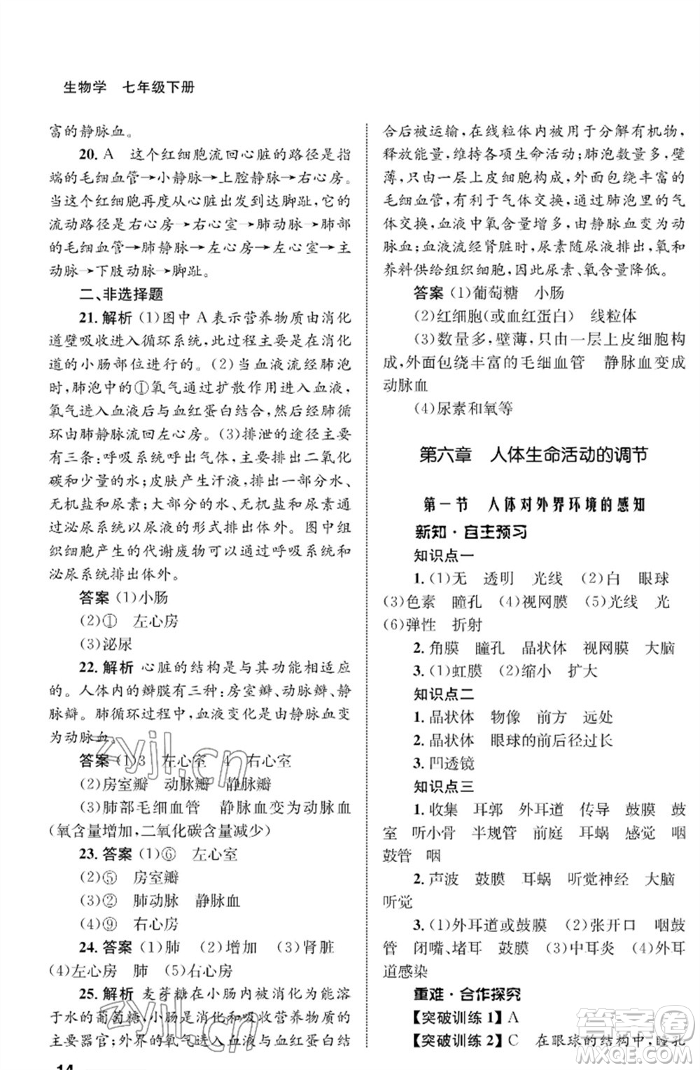 甘肅教育出版社2023生物學(xué)配套綜合練習(xí)七年級下冊人教版參考答案