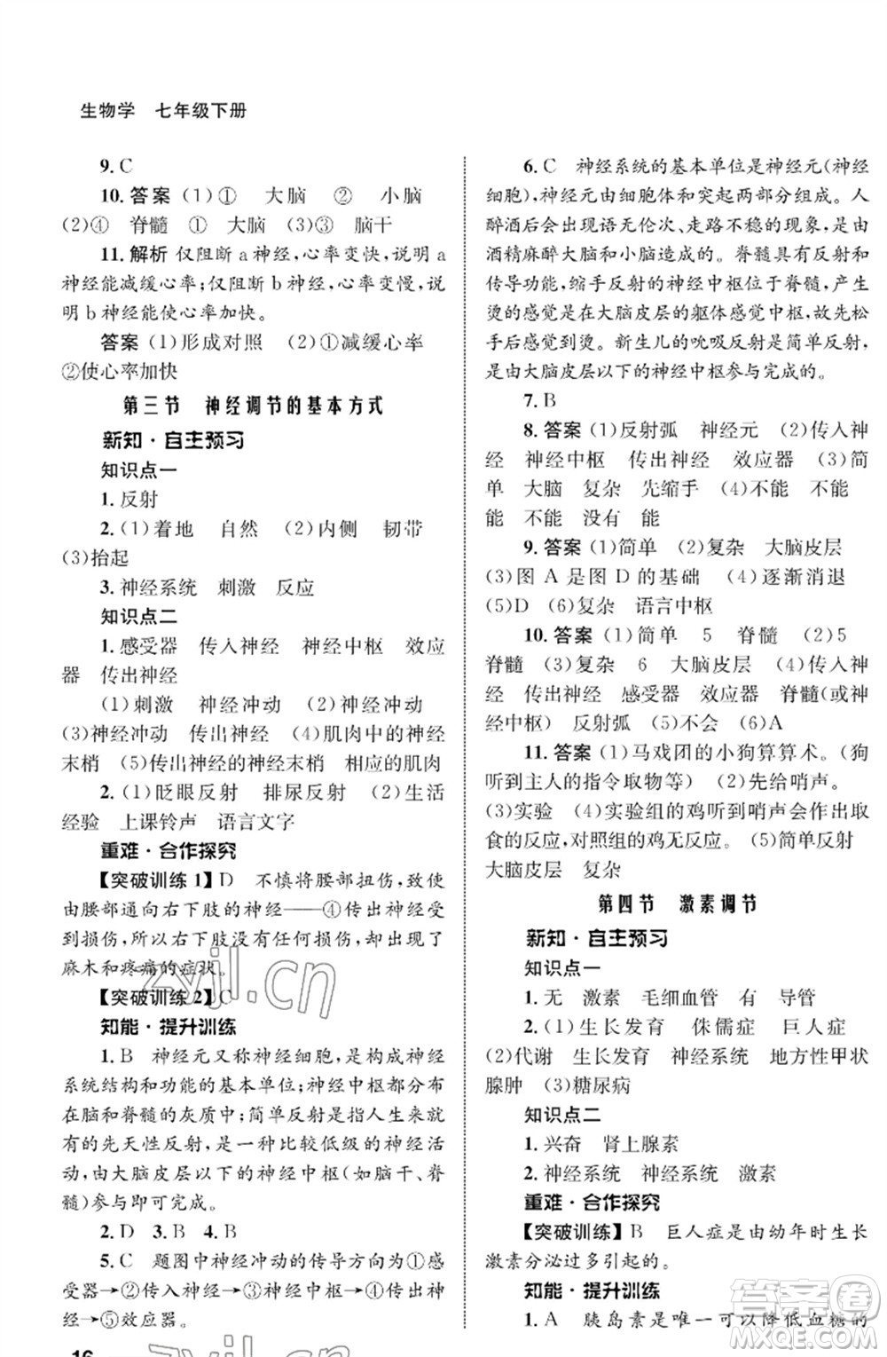 甘肅教育出版社2023生物學(xué)配套綜合練習(xí)七年級下冊人教版參考答案