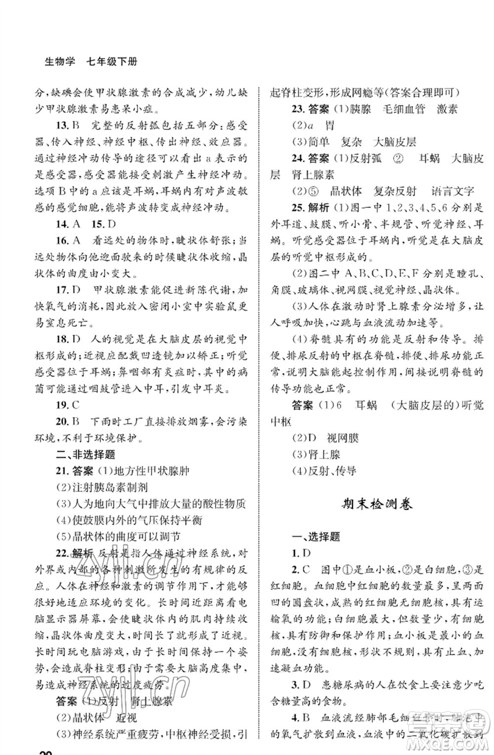 甘肅教育出版社2023生物學(xué)配套綜合練習(xí)七年級下冊人教版參考答案