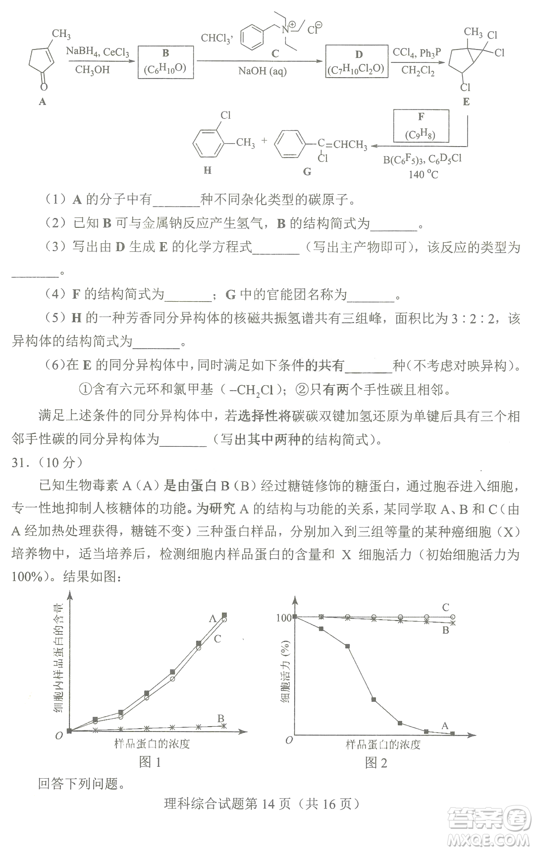 2023四省聯(lián)考高三適應(yīng)性能力測試卷理科綜合試卷答案