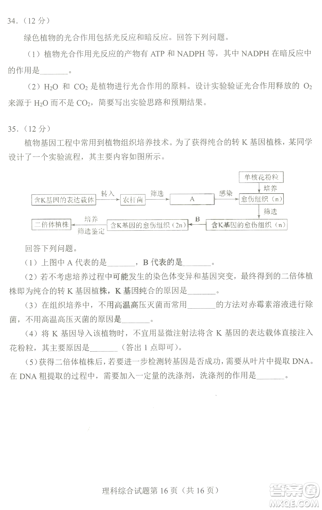 2023四省聯(lián)考高三適應(yīng)性能力測試卷理科綜合試卷答案