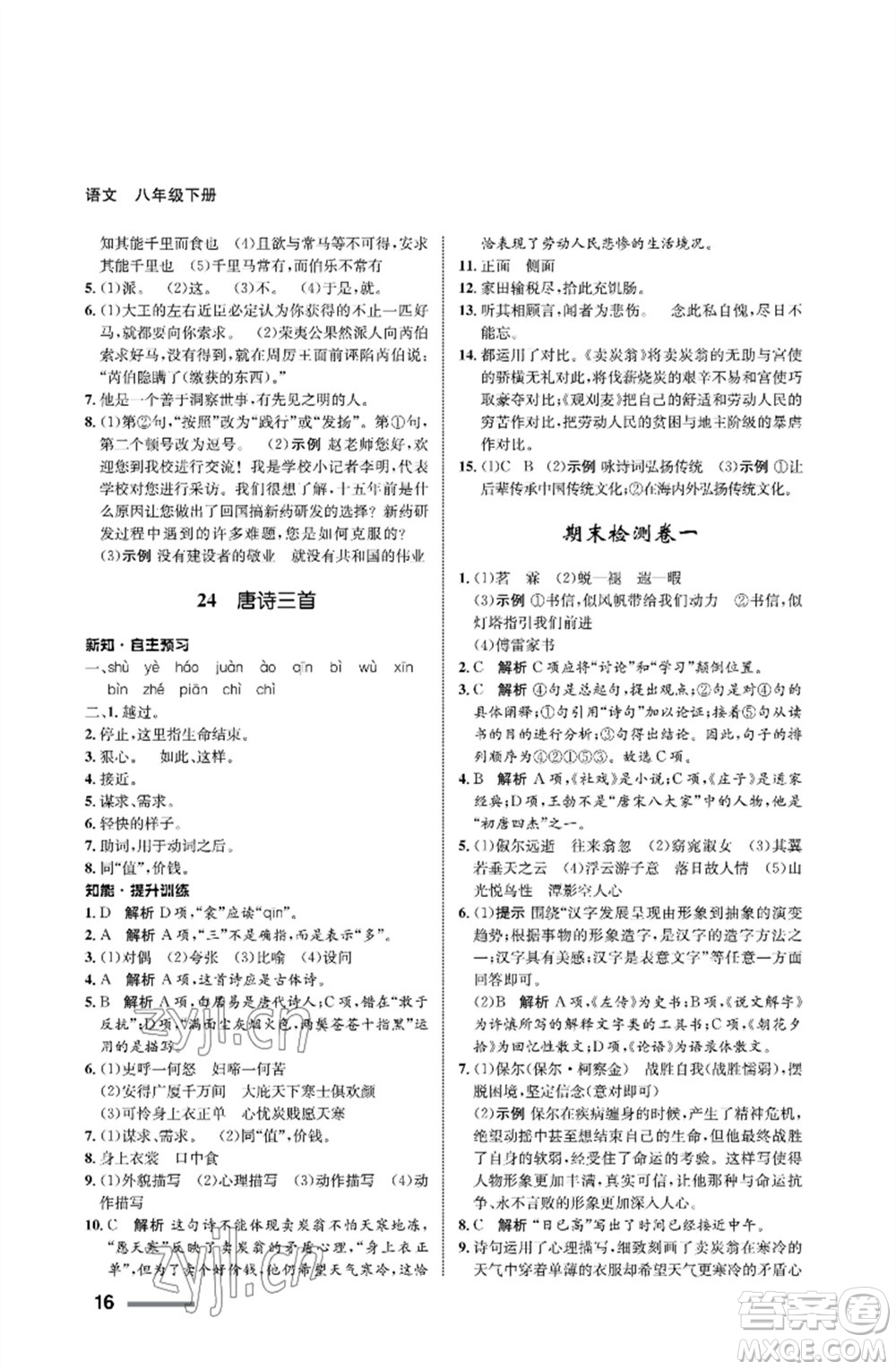 甘肅教育出版社2023語文配套綜合練習(xí)八年級下冊人教版參考答案