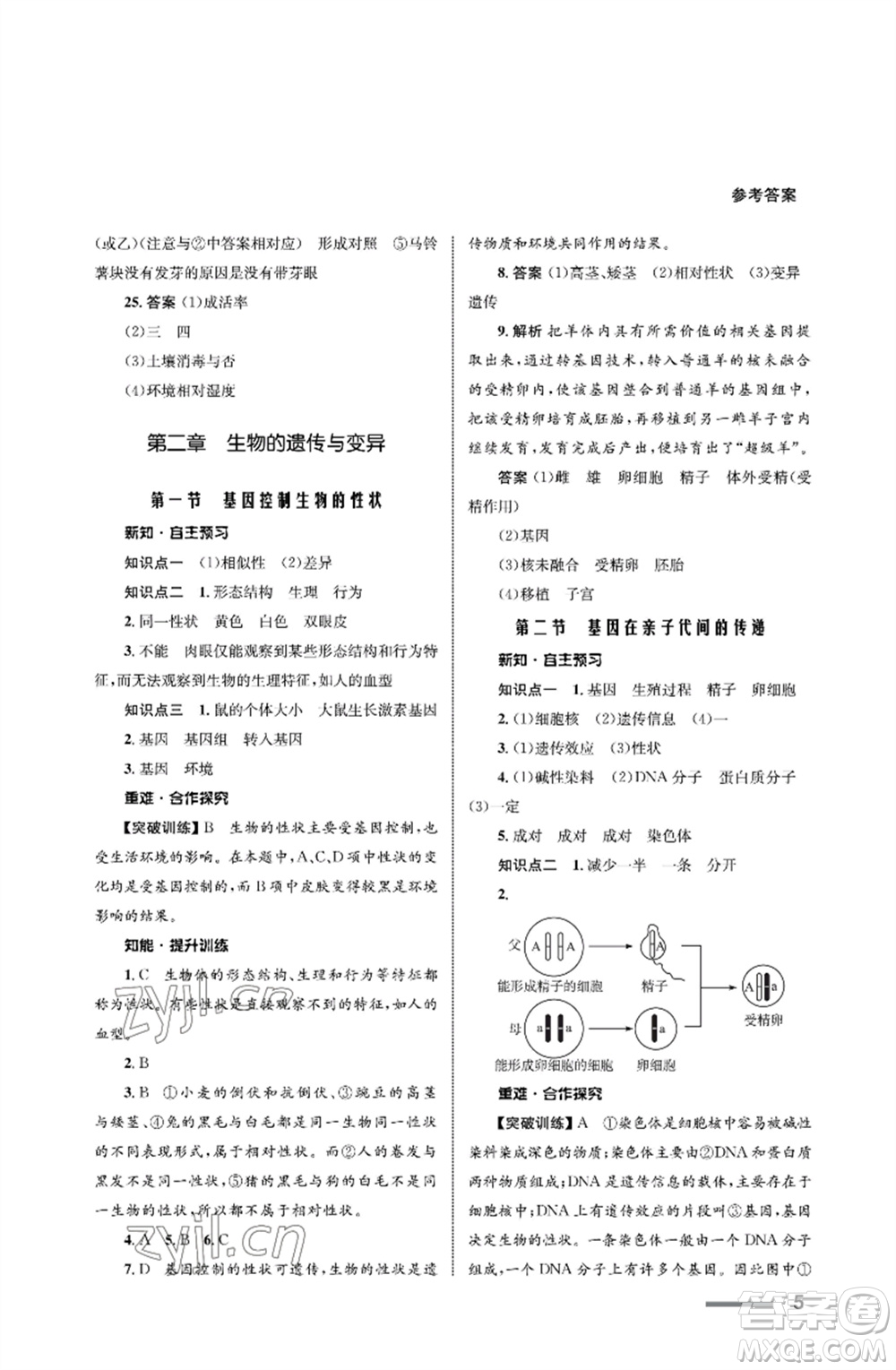 甘肅教育出版社2023生物學(xué)配套綜合練習(xí)八年級(jí)下冊(cè)人教版參考答案