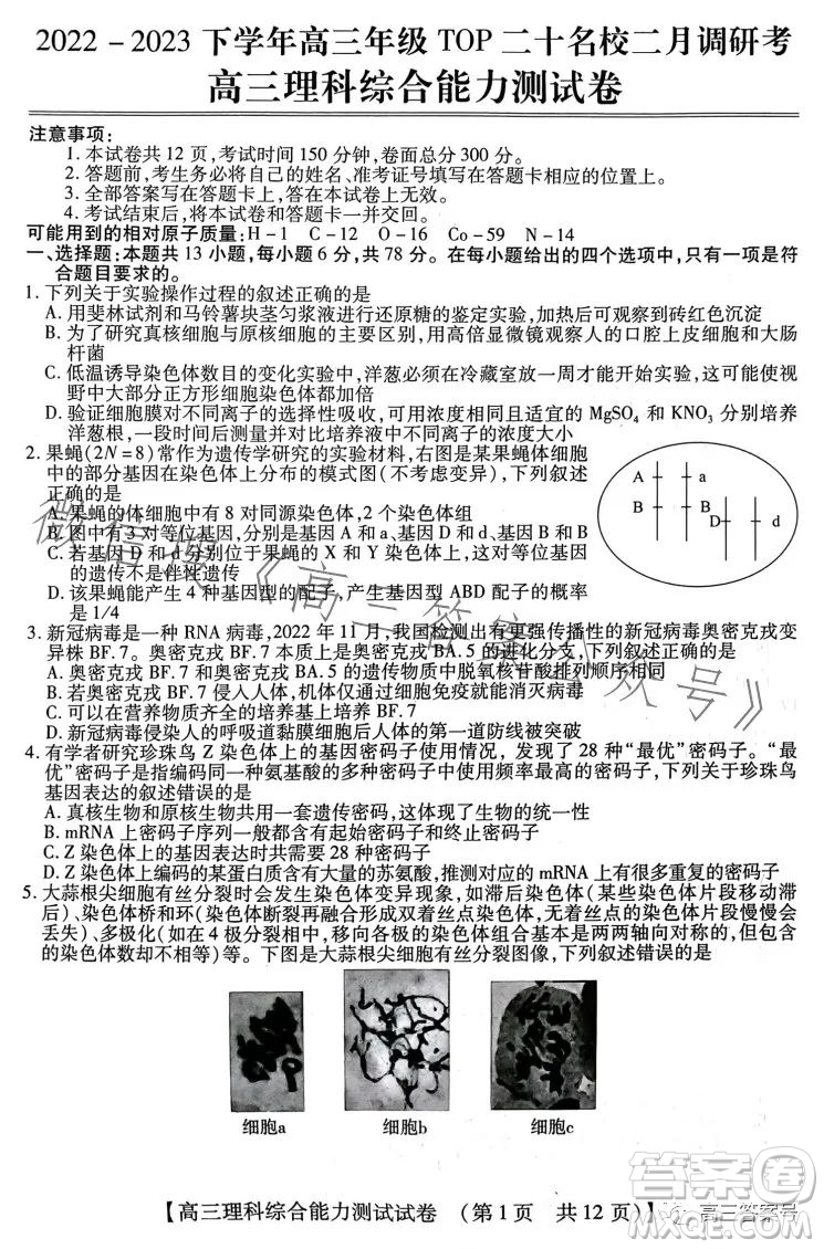 河南省2022-2023下學(xué)年高三年級TOP二十名校二月調(diào)研考理科綜合試卷答案