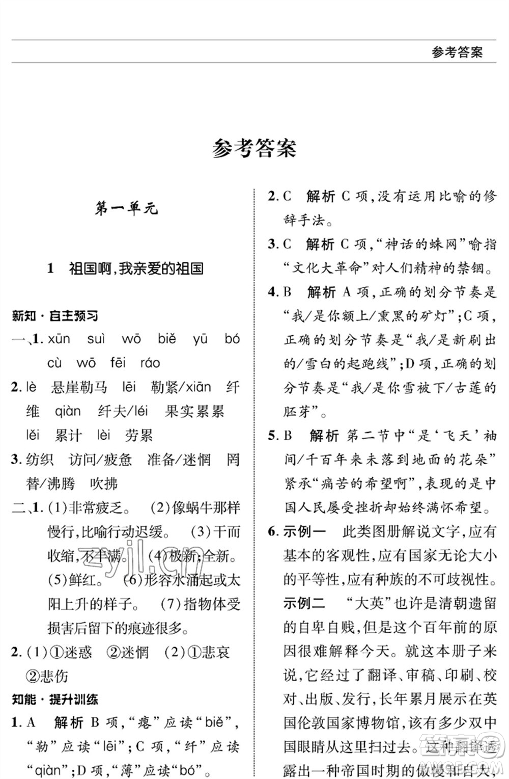 北京師范大學(xué)出版社2023語文配套綜合練習(xí)九年級(jí)下冊(cè)人教版參考答案