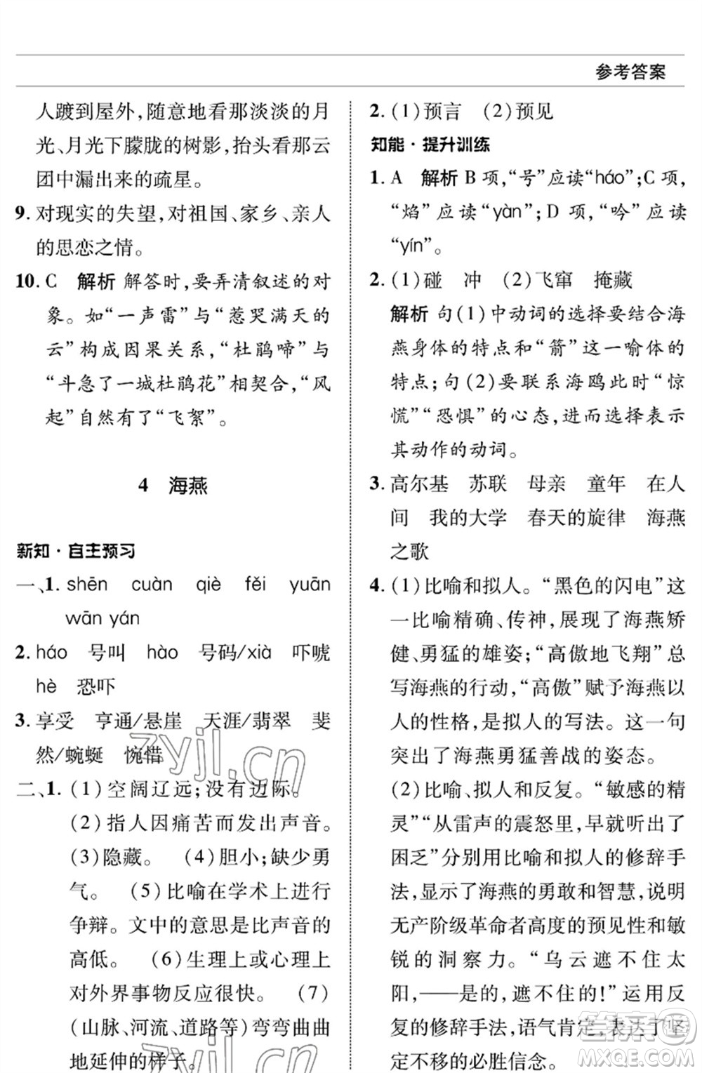 北京師范大學(xué)出版社2023語文配套綜合練習(xí)九年級(jí)下冊(cè)人教版參考答案