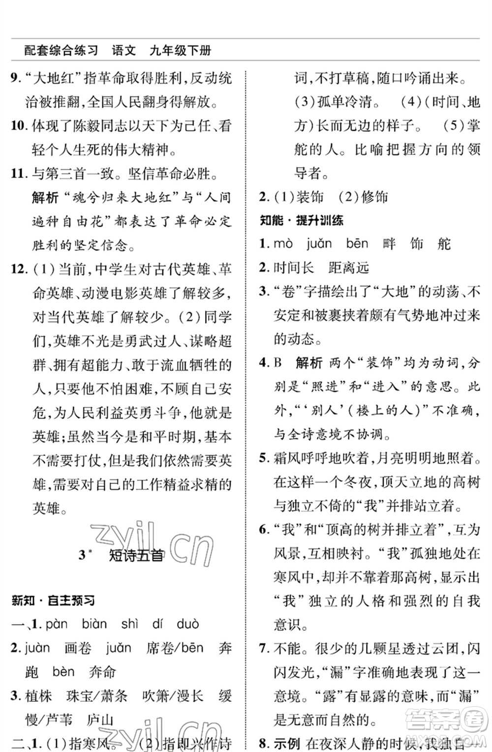 北京師范大學(xué)出版社2023語文配套綜合練習(xí)九年級(jí)下冊(cè)人教版參考答案