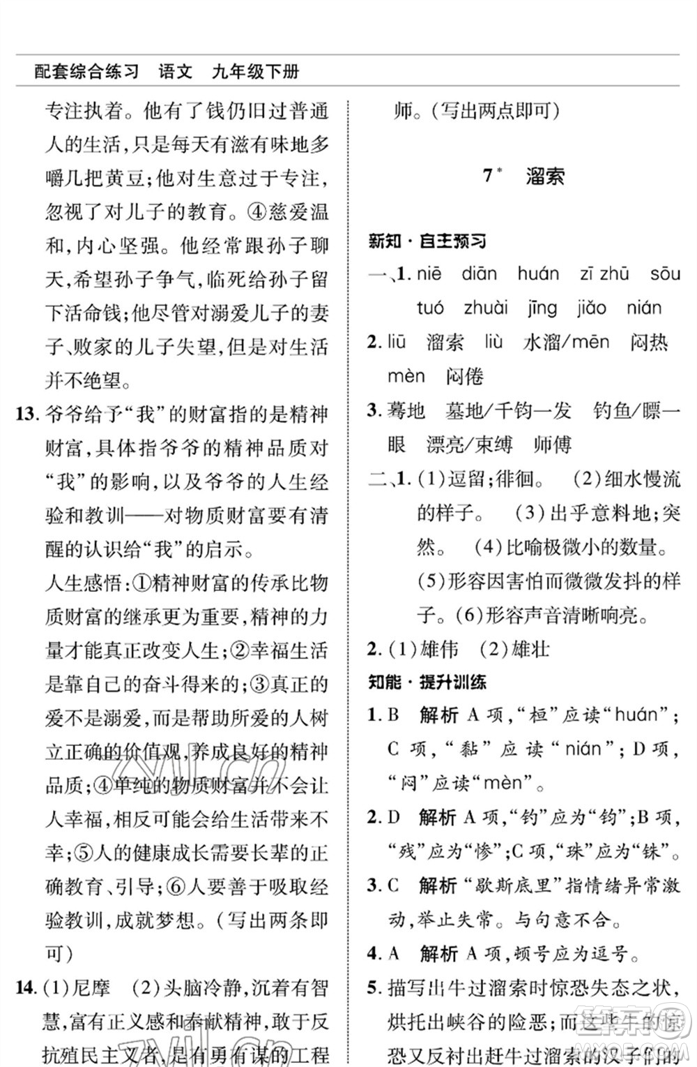 北京師范大學(xué)出版社2023語文配套綜合練習(xí)九年級(jí)下冊(cè)人教版參考答案