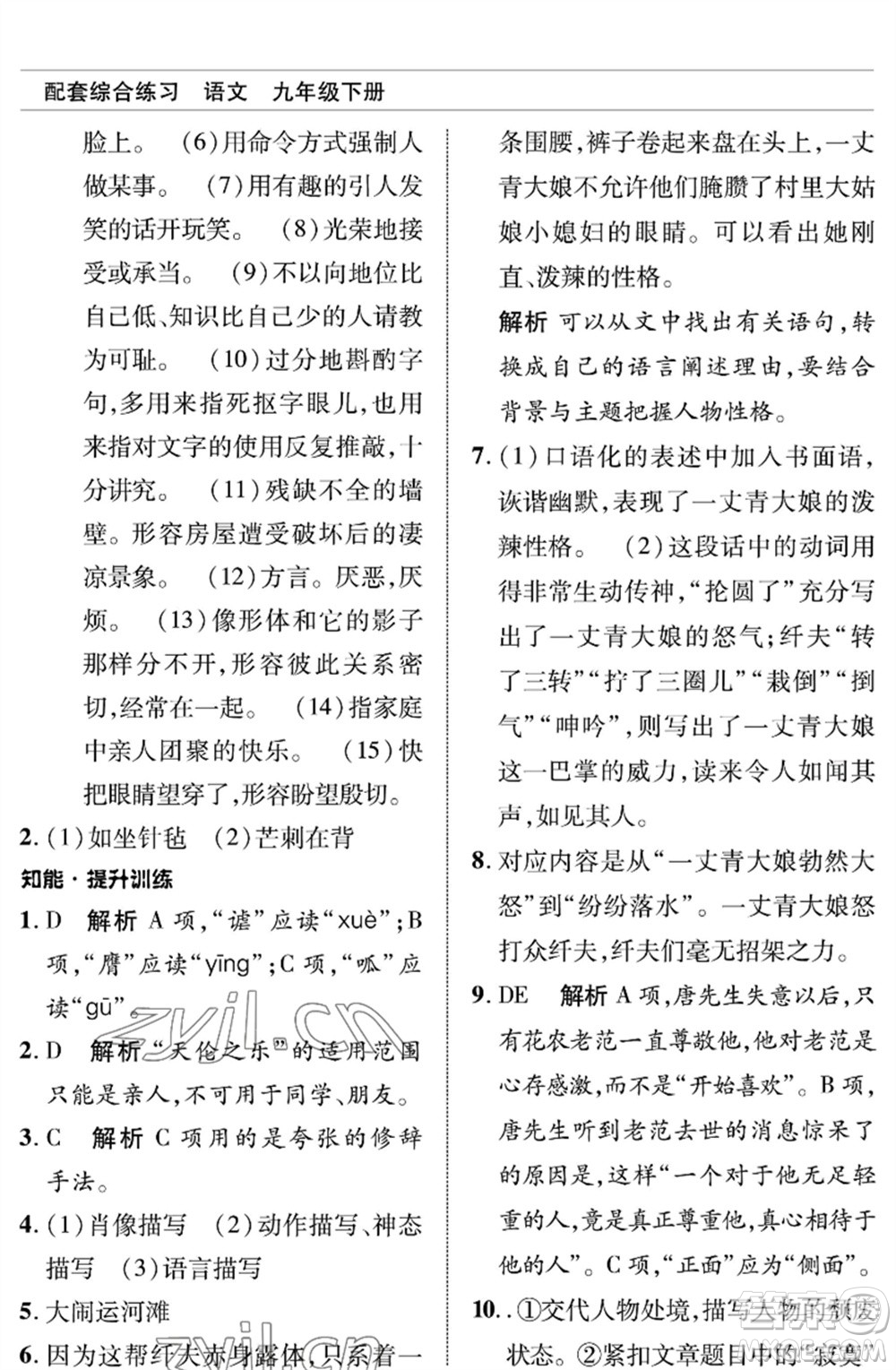 北京師范大學(xué)出版社2023語文配套綜合練習(xí)九年級(jí)下冊(cè)人教版參考答案