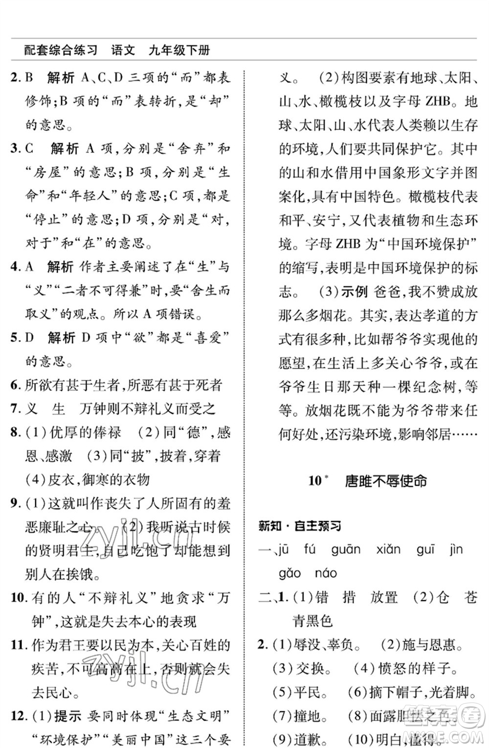 北京師范大學(xué)出版社2023語文配套綜合練習(xí)九年級(jí)下冊(cè)人教版參考答案