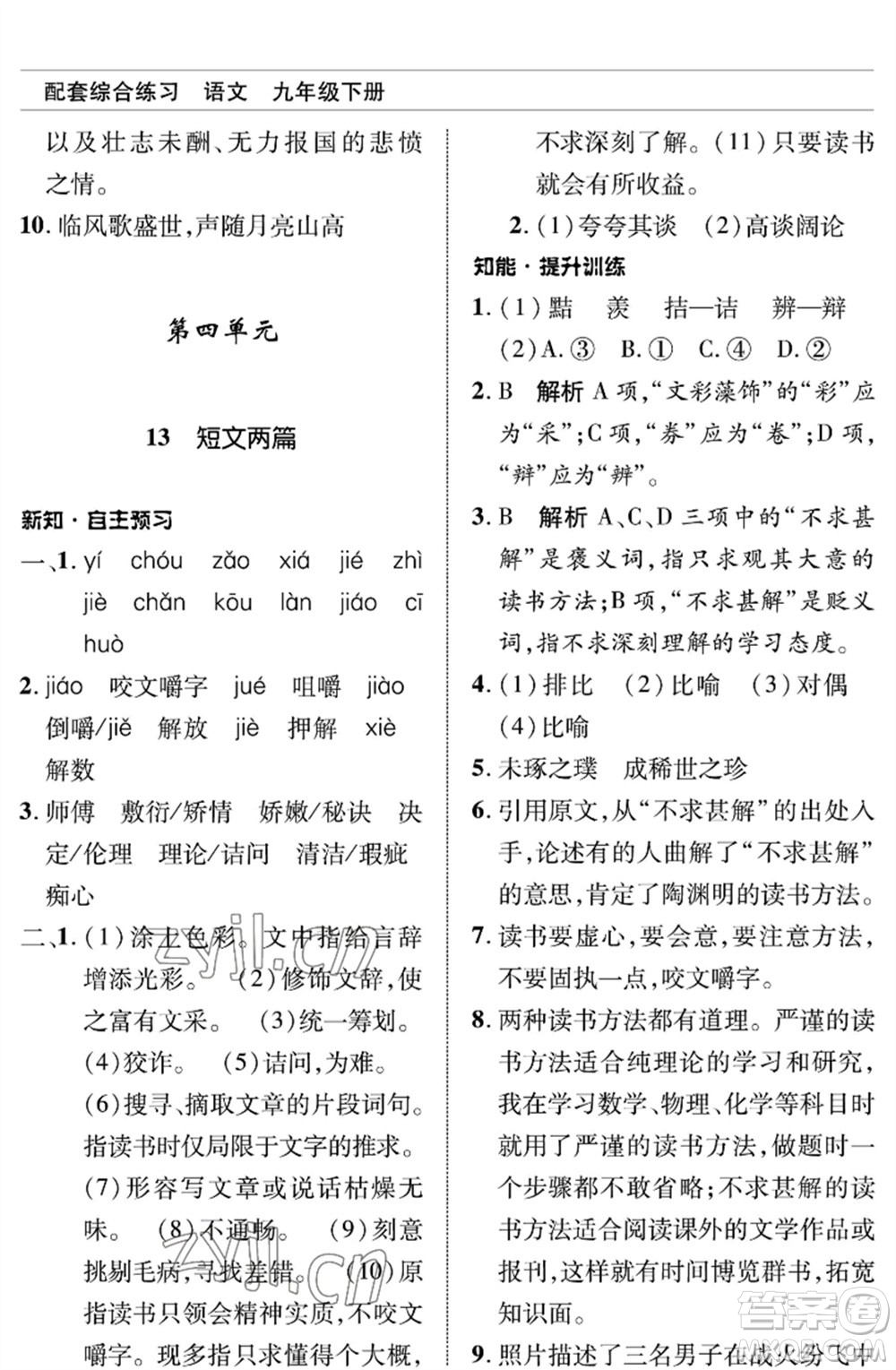 北京師范大學(xué)出版社2023語文配套綜合練習(xí)九年級(jí)下冊(cè)人教版參考答案