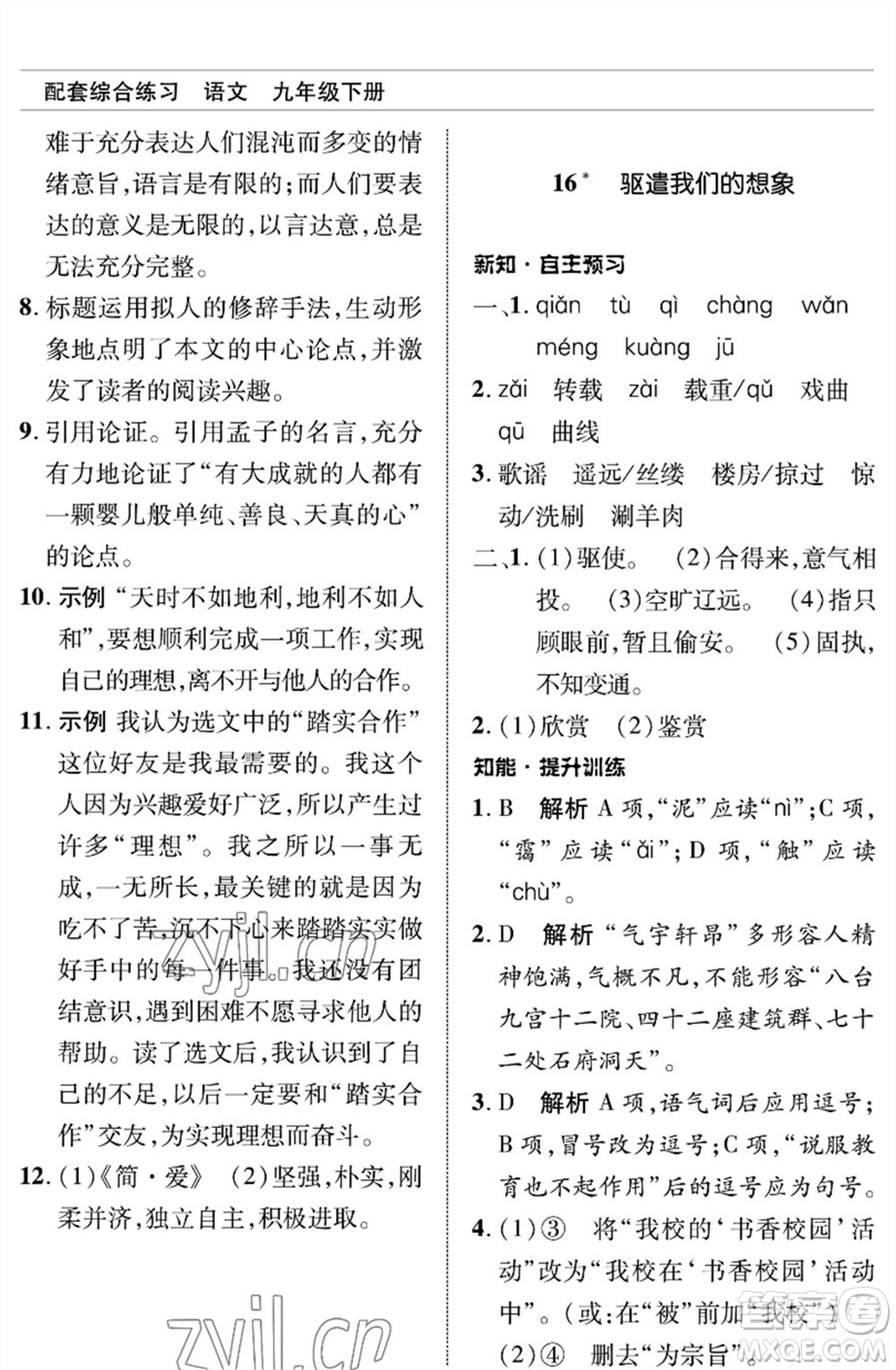 北京師范大學(xué)出版社2023語文配套綜合練習(xí)九年級(jí)下冊(cè)人教版參考答案