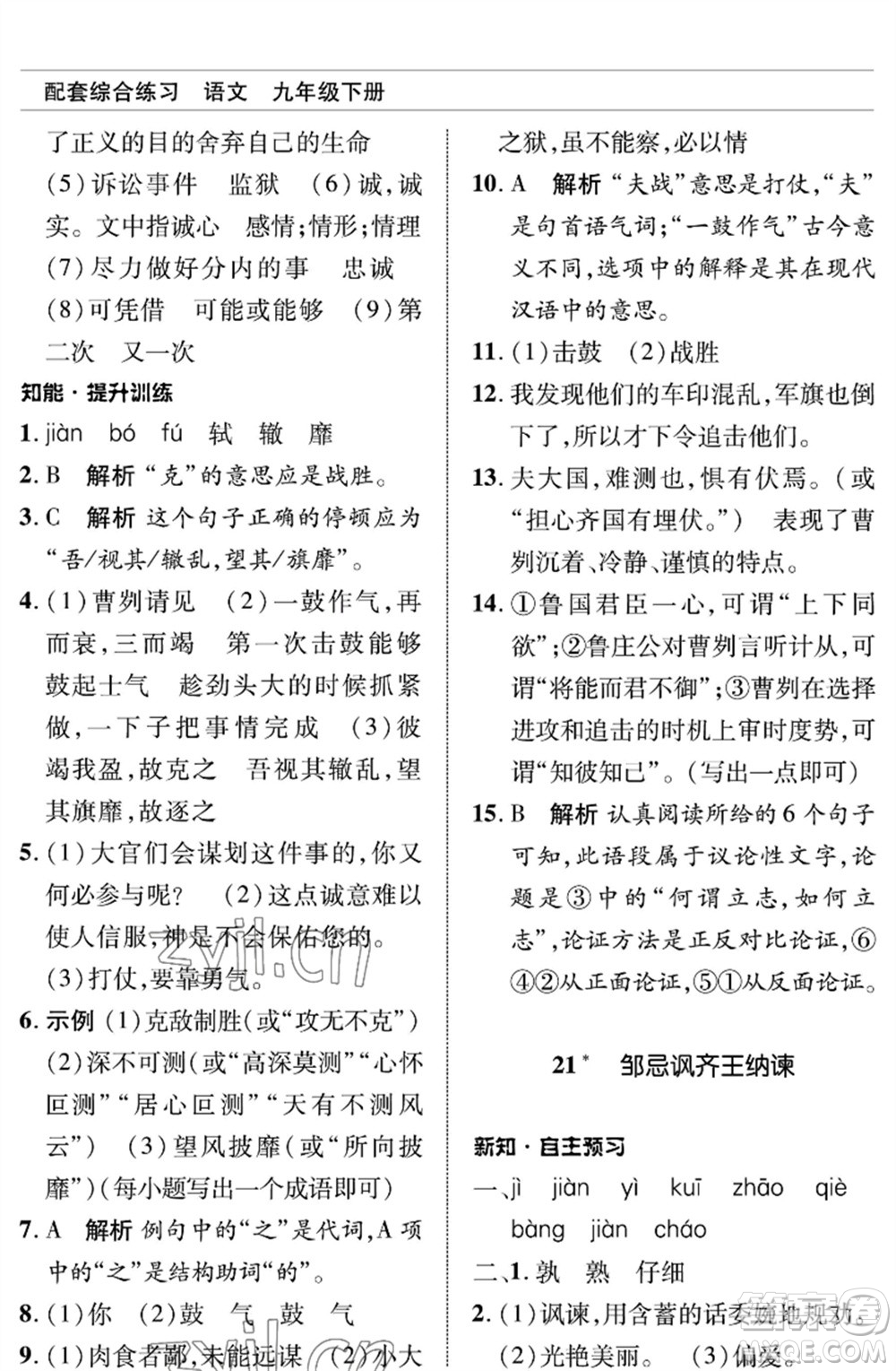 北京師范大學(xué)出版社2023語文配套綜合練習(xí)九年級(jí)下冊(cè)人教版參考答案