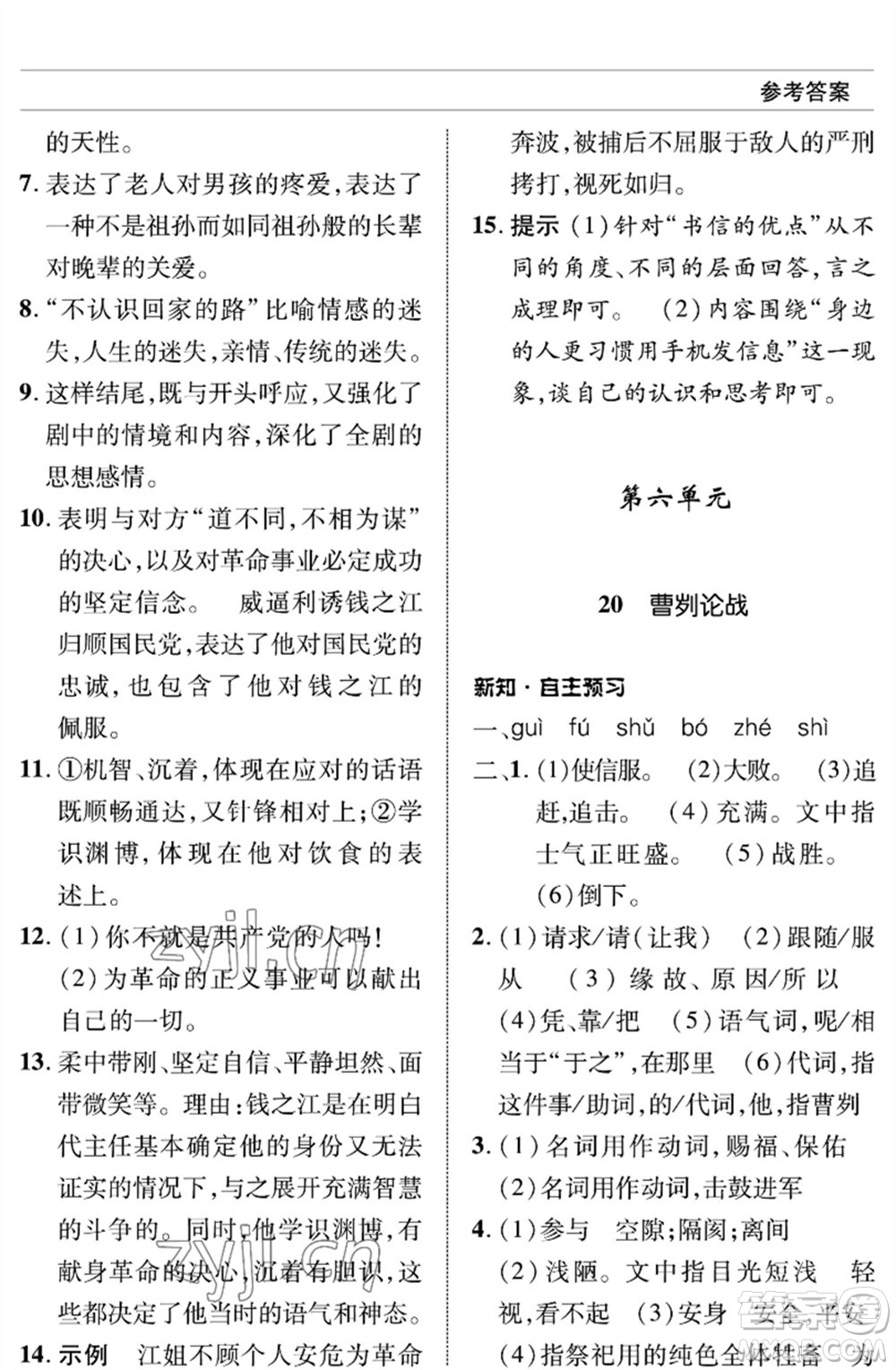 北京師范大學(xué)出版社2023語文配套綜合練習(xí)九年級(jí)下冊(cè)人教版參考答案