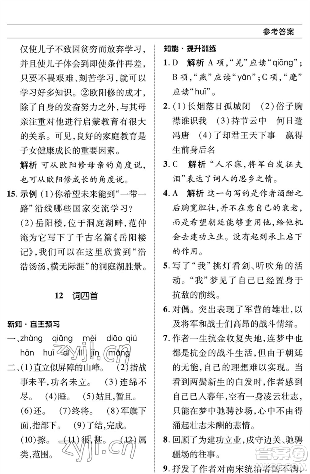 北京師范大學(xué)出版社2023語文配套綜合練習(xí)九年級(jí)下冊(cè)人教版參考答案